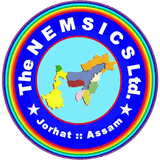 NEMSICS logo